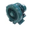 Whatsapp image 2021 04 27 at 13. 26. 48 1 1  0.75 hp Swimming Pool Pump WhatsApp Image 2021 04 27 at 13