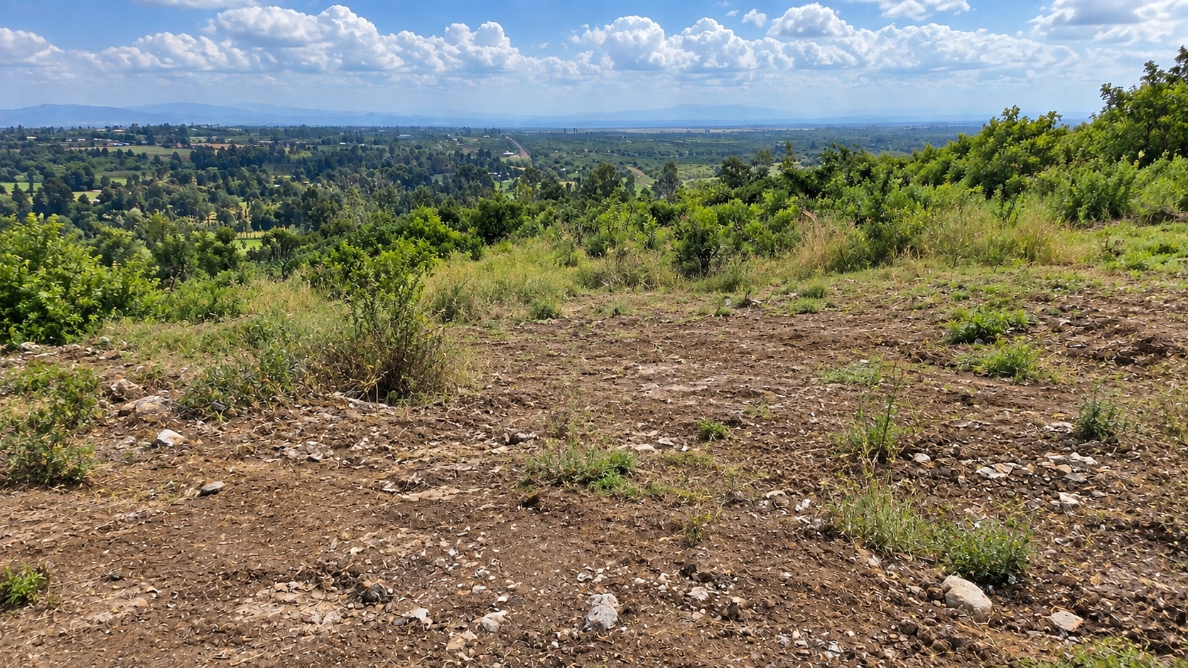 Yard Before Construction