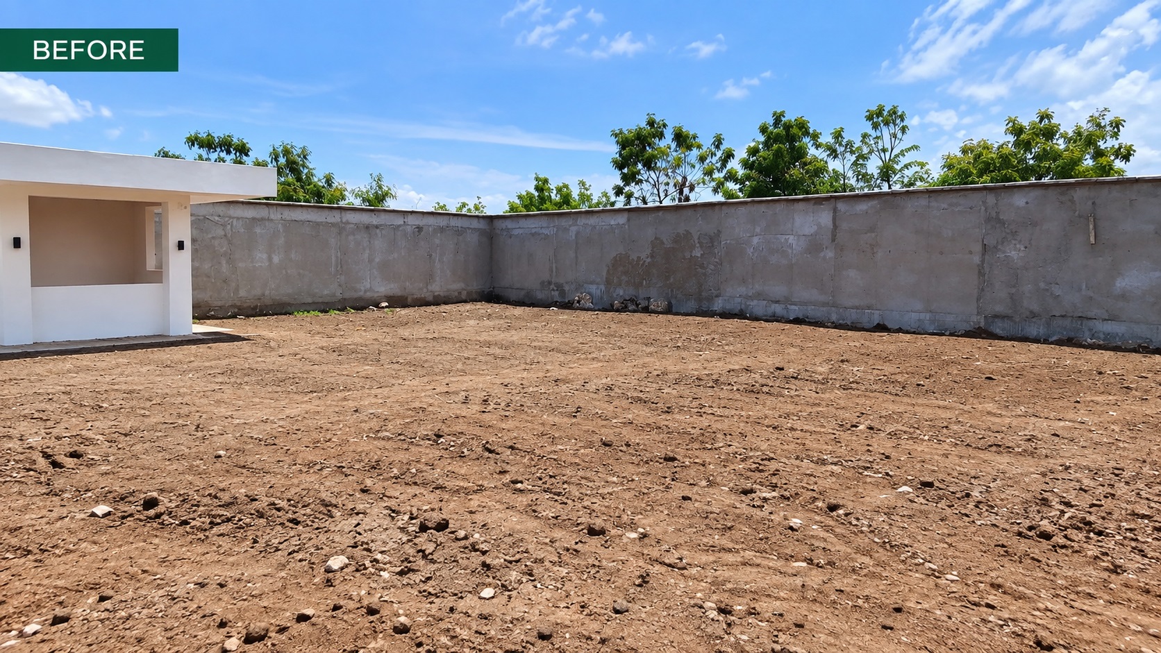Yard Before Construction